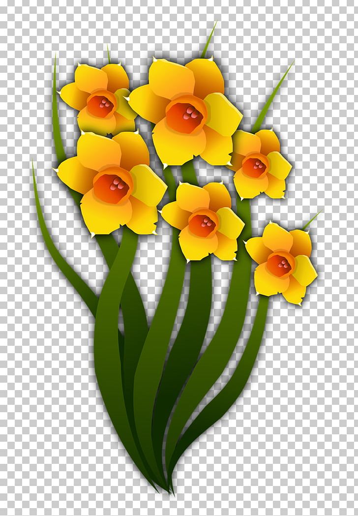 Daffodil Drawing Cut Flowers PNG, Clipart, Amaryllis Family, Cattleya, Cut Flowers, Daffodil, Drawing Free PNG Download