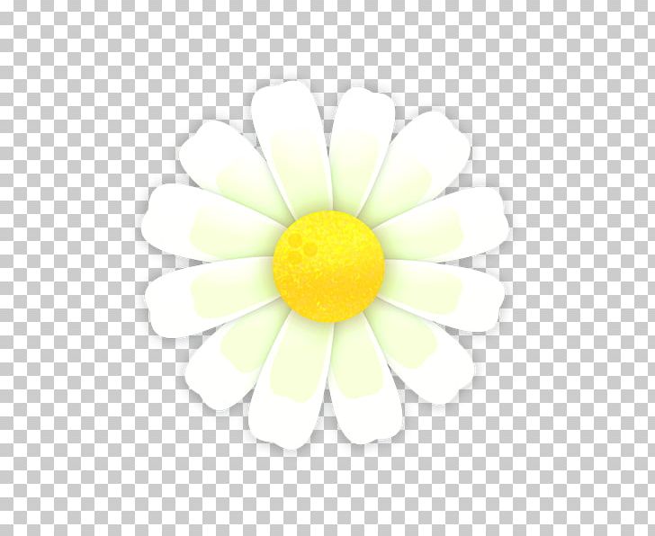 Sunflower M Close-up PNG, Clipart, Closeup, Daisy, Daisy Family, Flower, Flowering Plant Free PNG Download
