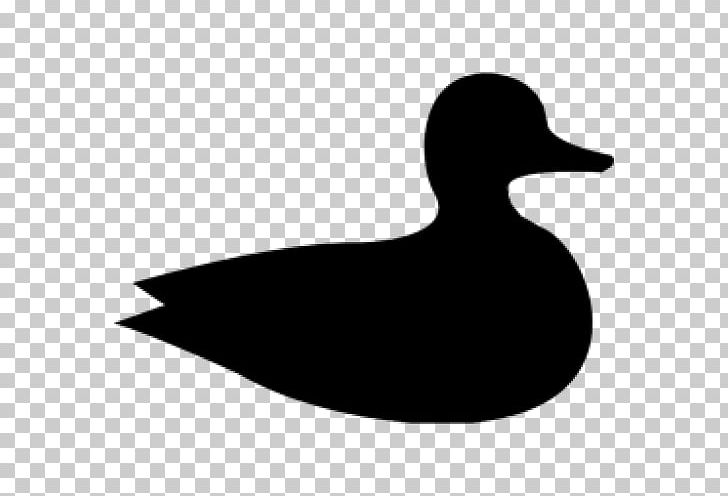Duck Mallard American Pekin Computer Icons PNG, Clipart, American Black Duck, American Pekin, Animals, Beak, Bird Free PNG Download