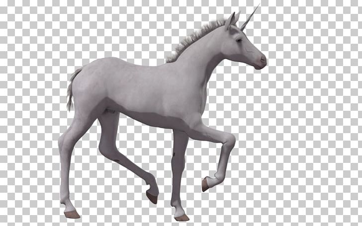 Horse Foal Colt Unicorn Drawing PNG, Clipart, Animaatio, Animal Figure, Animals, Black And White, Colt Free PNG Download