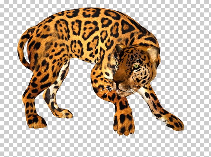 Jaguar Leopard Tiger Cheetah Lion PNG, Clipart, Animal, Animal Figure, Big Cats, Carnivoran, Cat Like Mammal Free PNG Download