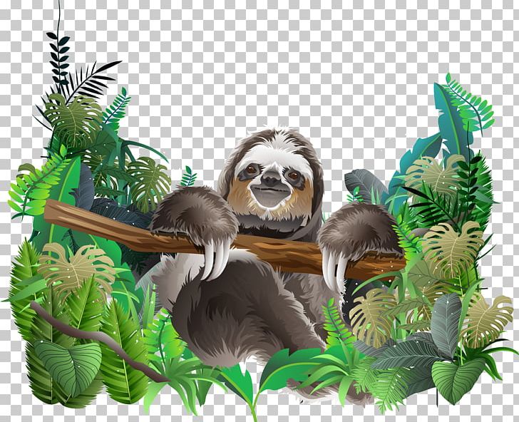 Sloth Euclidean Rainforest PNG, Clipart, 3d Animation, 3d Computer Graphics, Animal, Animation, Anime Character Free PNG Download