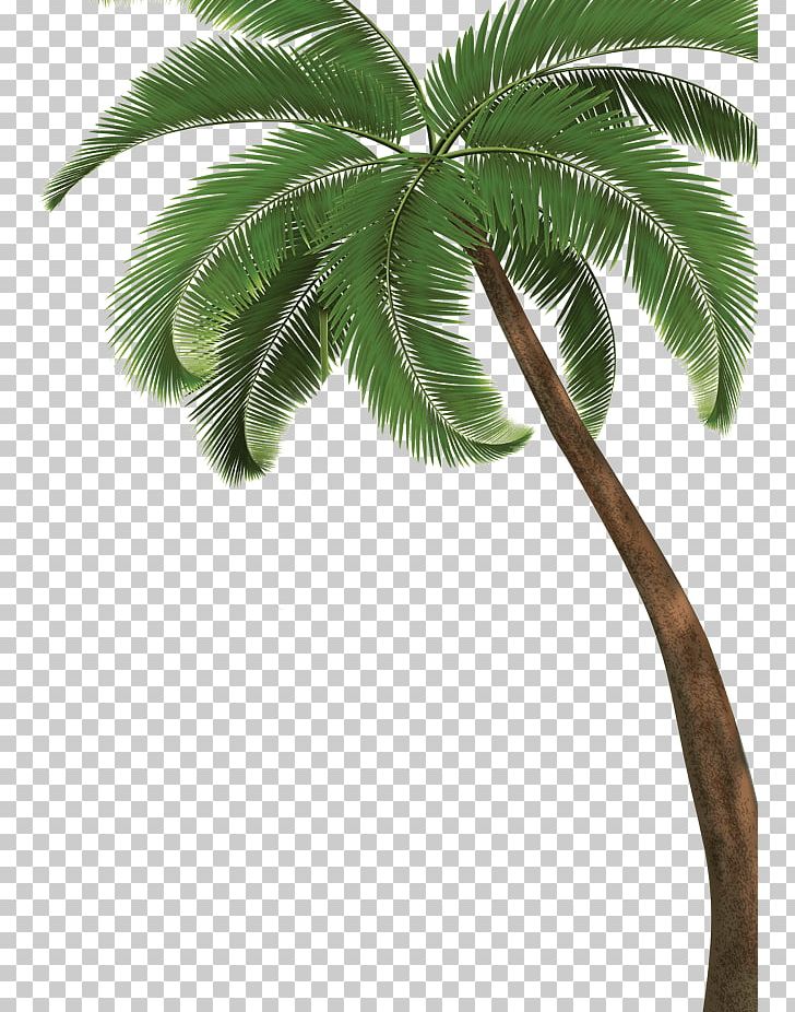 Discounts And Allowances Travel Asian Palmyra Palm Business Advertising PNG, Clipart, Advertising, Arecales, Asian Palmyra Palm, Attalea Speciosa, Borassus Flabellifer Free PNG Download
