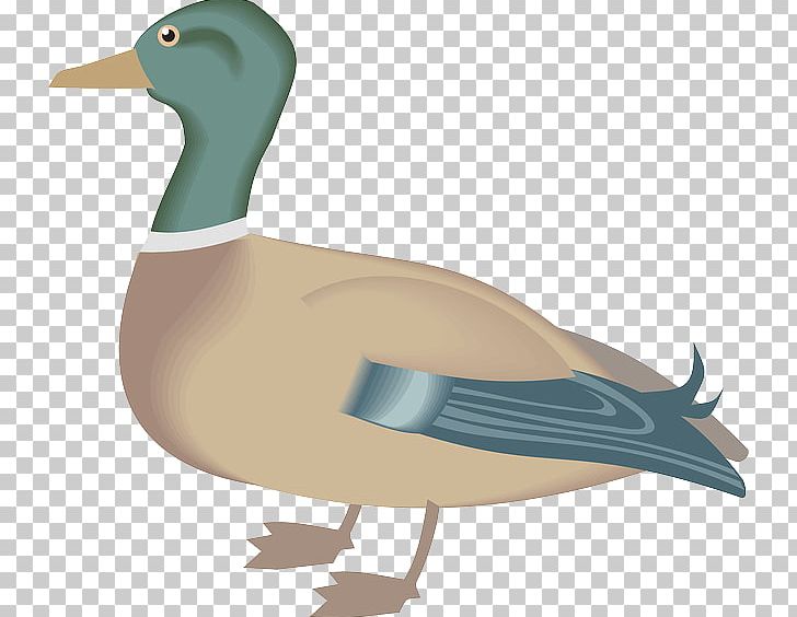Donald Duck PNG, Clipart, Animation, Beak, Bird, Bird Crane Beak, Donald Duck Free PNG Download