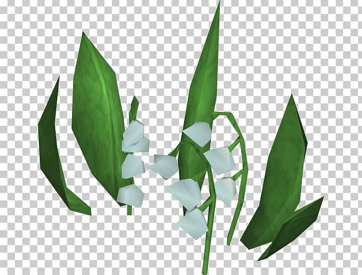 Lily Of The Valley Leaf PNG, Clipart, Download, Flower, Flowers, Grass, Image Resolution Free PNG Download