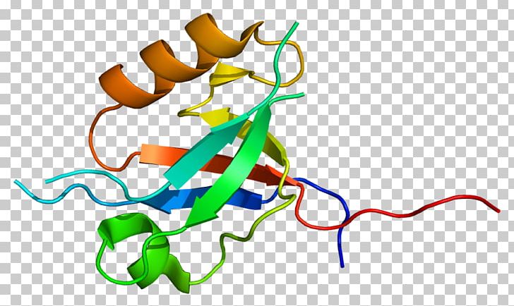 MPDZ PDZ Domain Protein Domain Syntrophin PNG, Clipart, Area, Artwork, Dlg4, Dystrophin, Gene Free PNG Download