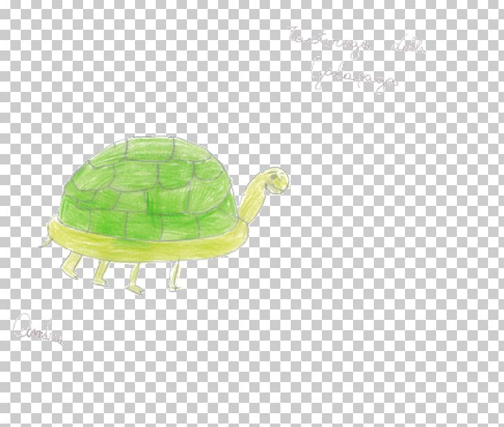 Turtle Green Plastic PNG, Clipart, Animals, Green, Organism, Plastic, Reptile Free PNG Download