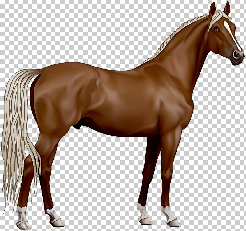 Horse Animal Figure Sorrel Mare Mane PNG, Clipart, Animal Figure, Horse, Liver, Mane, Mare Free PNG Download