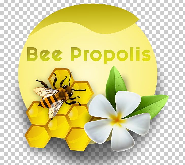 Honey Bee Desktop Flowering Plant PNG, Clipart, Bee, Butterfly, Computer, Computer Wallpaper, Desktop Wallpaper Free PNG Download