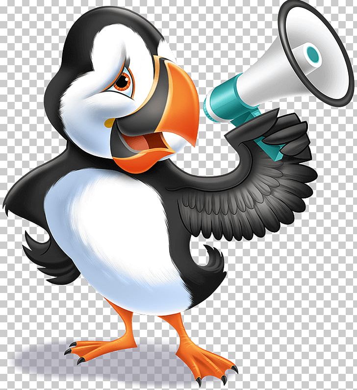 Ocean Penguin Sea Coral Reef PNG, Clipart, 2016, 2017, 2018, Beak, Bird Free PNG Download