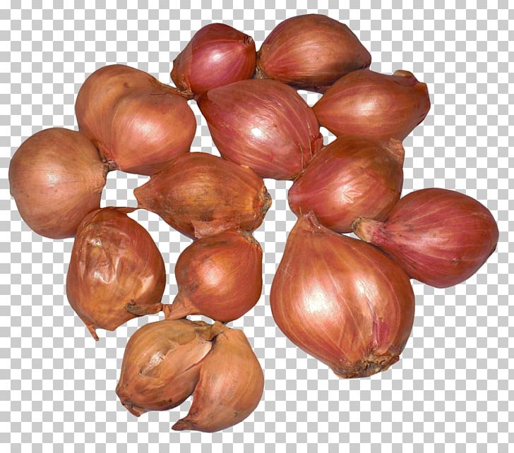 Shallot Vegetable Scallion French Cuisine PNG, Clipart, Allium Fistulosum, Chestnut, Computer Icons, Food, French Cuisine Free PNG Download