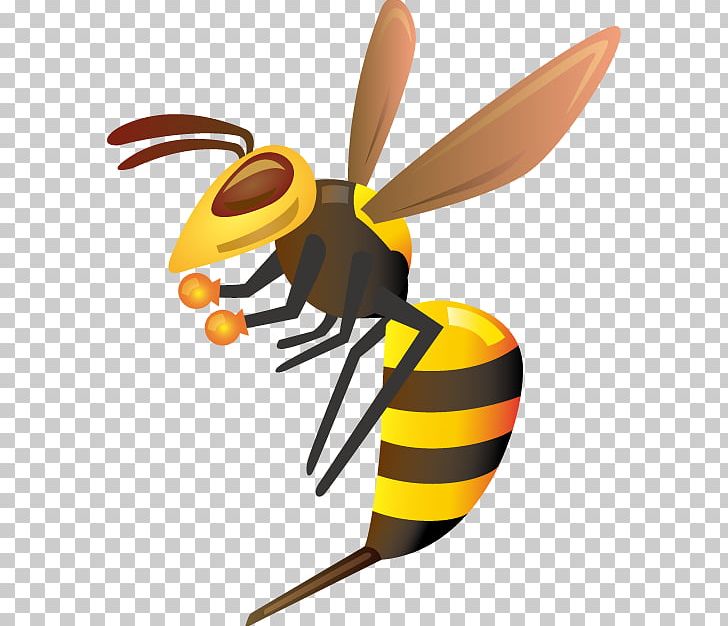 True Wasps Hornet 株式会社 熊本美水 Insect PNG, Clipart,  Free PNG Download