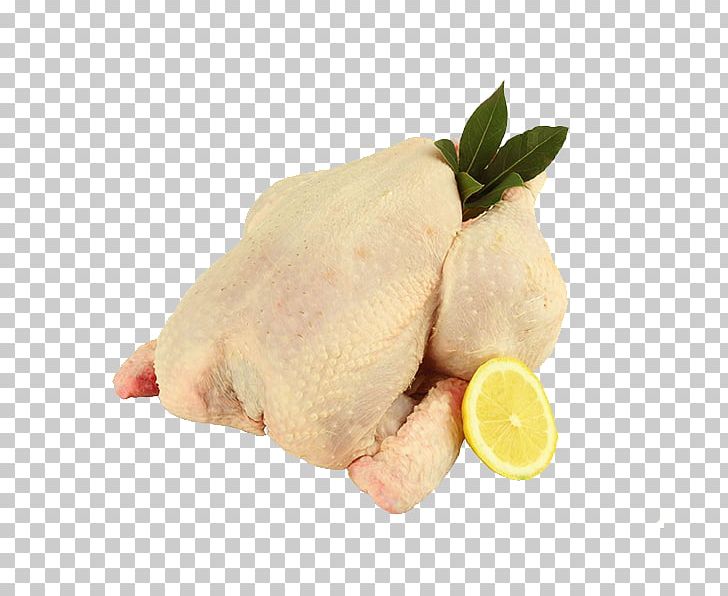 White Cut Chicken Giblets Chicken As Food Biryani PNG, Clipart, Abel Cole Limited, Animal Fat, Animals, Biryani, Chicken Free PNG Download