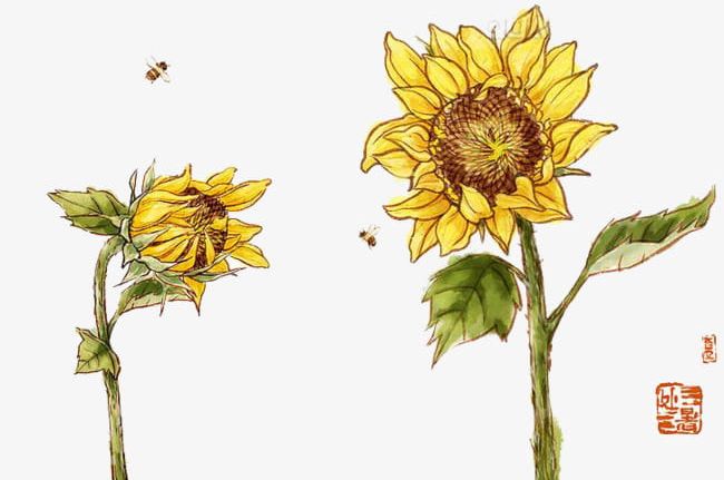 Yellow Sunflower PNG, Clipart, Bee, Green, Green Leaves, Leaves, Picture Clipart Free PNG Download