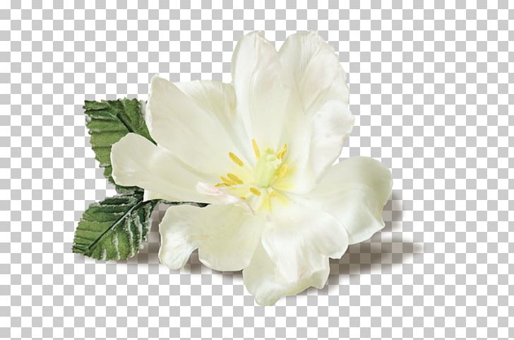 Synthetic Musk Flower Musk Stick Jasmine PNG, Clipart, Cut Flowers, Flavor, Flower, Flowering Plant, Jasmine Free PNG Download