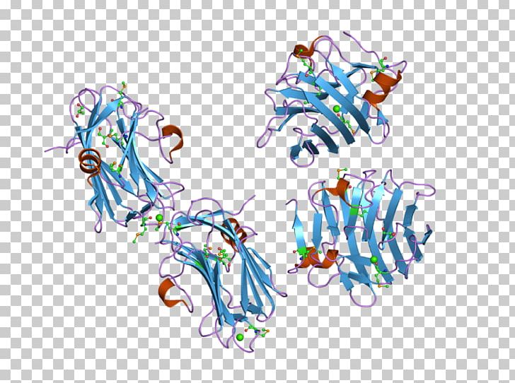 NRXN1 Neurexin Crystal Structure Protein PNG, Clipart, Art, Body Jewelry, Circle, Crystal, Crystal Structure Free PNG Download