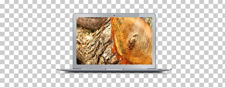 Television Photography PNG, Clipart, Media, Others, Photography, Technology, Television Free PNG Download
