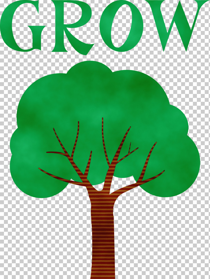 Leaf Plant Stem Tree Green Font PNG, Clipart, Biology, Branching, Flower, Green, Grow Free PNG Download