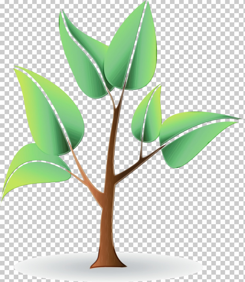 Plant Stem Branch Leaf Font Computer PNG, Clipart, Biology, Branch, Computer, Leaf, M Free PNG Download