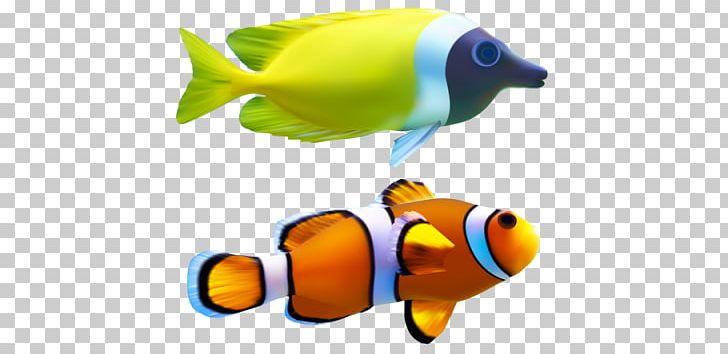 Clownfish PNG, Clipart, Animals, Choice, Clownfish, Coral Reef Fish, Deep Sea Creature Free PNG Download