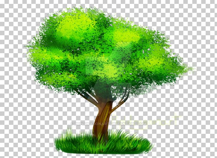 Tree PNG, Clipart, Grass, Nature, Organism, Plant, Tree Free PNG Download