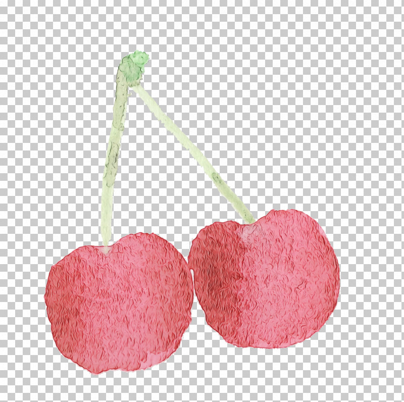 Pink Cherry Heart Plant Drupe PNG, Clipart, Cherry, Drupe, Food, Fruit, Heart Free PNG Download