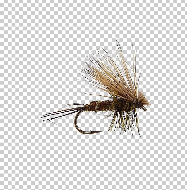 Artificial Fly Fly Fishing Blue Trout Flies: Naturals And Imitations PNG, Clipart, Artificial Fly, Bass, Blue, Bluegill, Dry Fly Fishing Free PNG Download