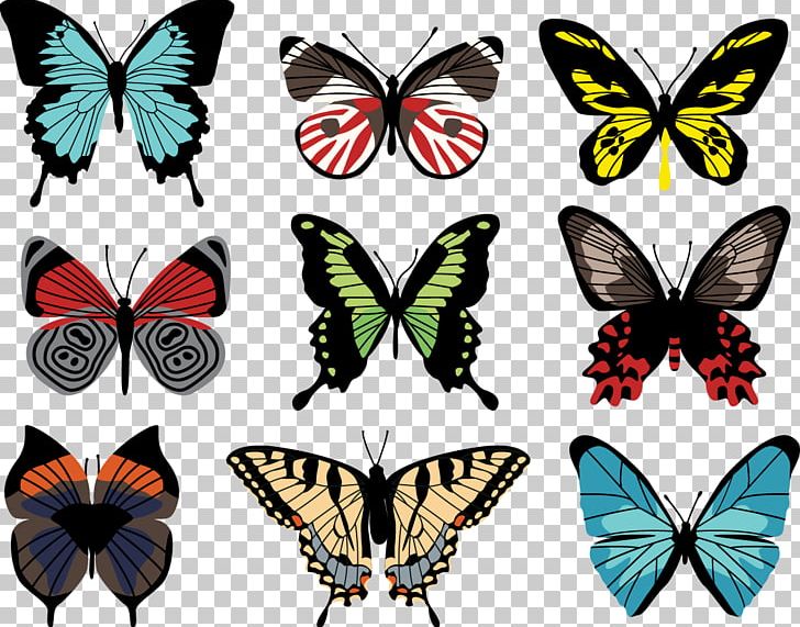 Butterfly Paper PNG, Clipart, Art, Arthropod, Brush Footed Butterfly, Butterfly, Butterfly Net Free PNG Download