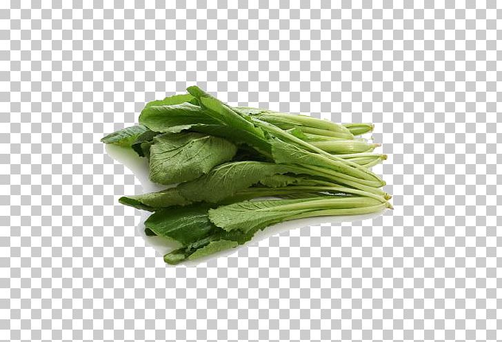 Spinach Leaf Vegetable Spring Greens PNG, Clipart, Background Green, Cabbage, Cauliflower, Chinese, Chinese Cabbage Free PNG Download