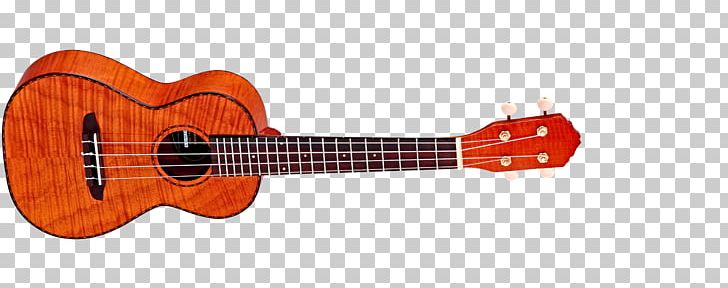 Ukulele Soprano Guitar Concert Musical Instruments PNG, Clipart, Acoustic Electric Guitar, Amancio Ortega, Bridge, Classical Guitar, Concert Free PNG Download