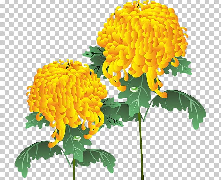 Chrysanthemum Yellow Dahlia Floral Design Flower PNG, Clipart, Beautiful, Calendula, Chrysanthemum Chrysanthemum, Chrysanthemum Flowers, Chrysanthemums Free PNG Download
