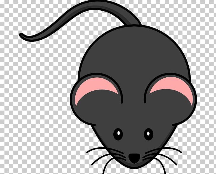 Computer Mouse Rodent PNG, Clipart, Black, Carnivoran, Cartoon, Cat, Cat Like Mammal Free PNG Download