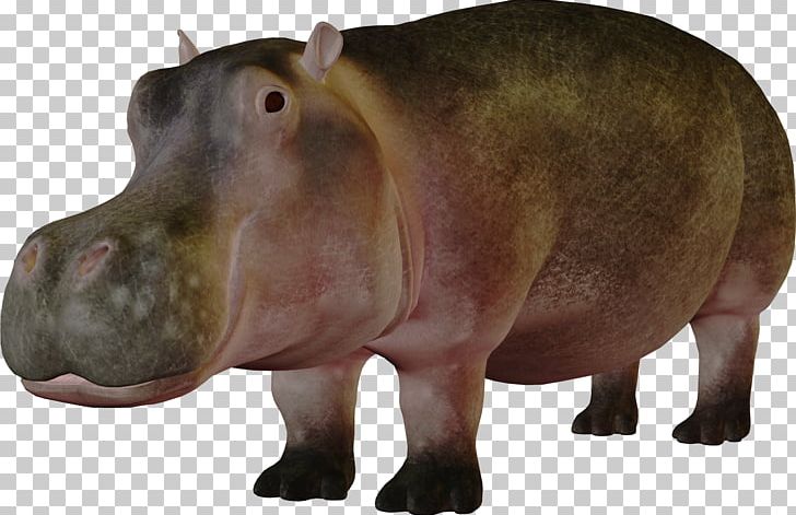 Hippopotamus PNG, Clipart, Animals, Animals Hippo, Archive File, Cartoon Hippo, Cute Hippo Free PNG Download