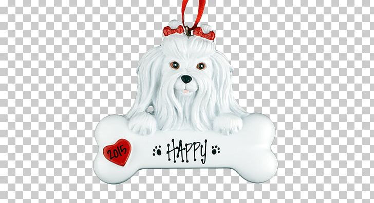 Maltese Dog Puppy Bichon Frise Dog Breed Companion Dog PNG, Clipart, Animals, Bichon, Bichon Frise, Bone, Breed Free PNG Download