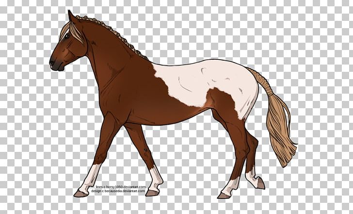 Mustang Foal Stallion Colt Pony PNG, Clipart, Animal Figure, Bridle, Colt, English Riding, Foal Free PNG Download