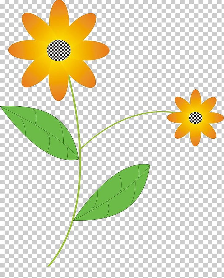 Flower Flora Petal Illustration PNG, Clipart, Dahlia, Daisy Family, Flora, Floral Design, Flower Free PNG Download