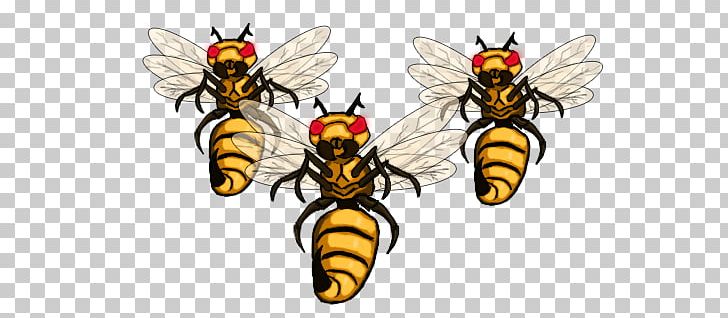 Honey Bee Hornet Wasp PNG, Clipart, 9 A, Arthropod, Attacker, Bee, Fly Free PNG Download