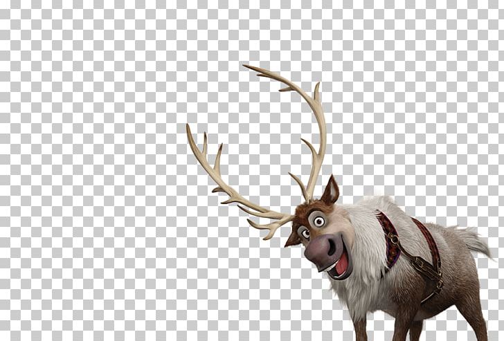 Kristoff Olaf Elsa Anna PNG, Clipart, Anna, Antler, Cartoon, Deer, Desktop Wallpaper Free PNG Download