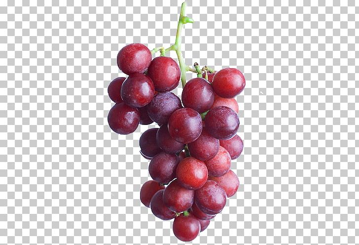 Sultana Zante Currant Common Grape Vine Seedless Fruit Egyptian Cuisine PNG, Clipart, Berry, Cranberry, Damson, Egypt, Flame Seedless Free PNG Download