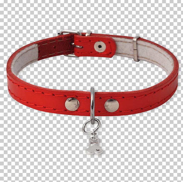 Dog Collar PNG, Clipart, Animals, Collar, Dog, Dog Collar, Red Free PNG Download