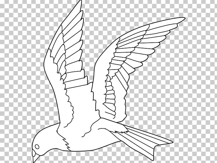 Bird Line Art Drawing PNG, Clipart, Angle, Animals, Art, Artwork, Beak Free PNG Download