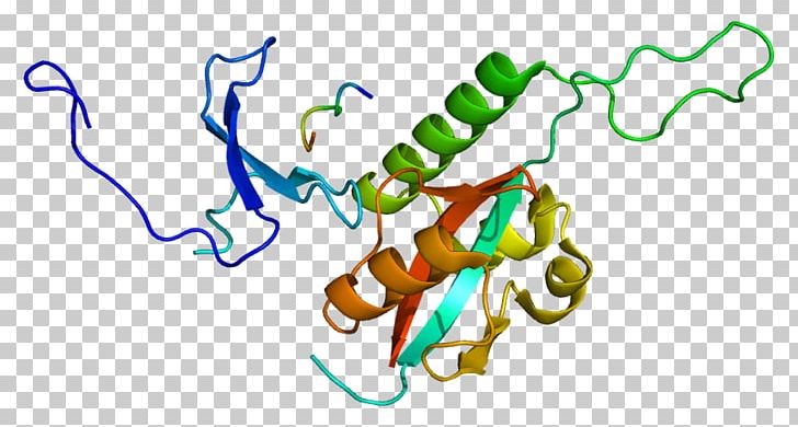 PIN1 Prolyl Isomerase PIN Proteins Mothers Against Decapentaplegic Homolog 3 PNG, Clipart, Area, Artwork, Auxin, Enzyme, Gene Free PNG Download
