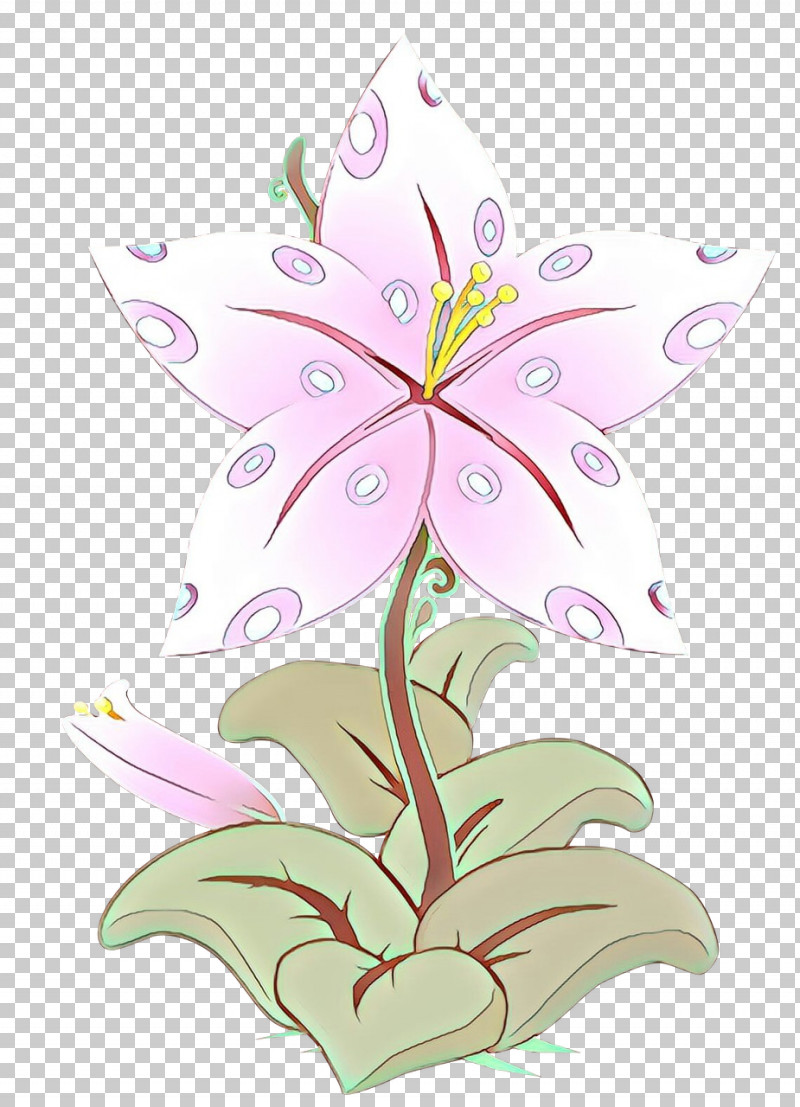 Flower Plant Pink Lily Petal PNG, Clipart, Flower, Leaf, Lily, Pedicel, Petal Free PNG Download