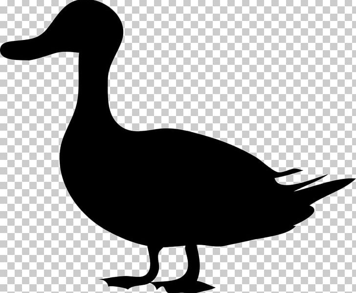 Domestic Duck Bird PNG, Clipart, Animals, Artwork, Beak, Bird, Black And White Free PNG Download