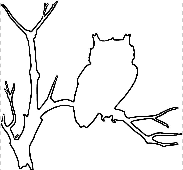 Owl Bird Outline Drawing PNG, Clipart, Animal, Area, Art, Artwork, Barn Owl Free PNG Download