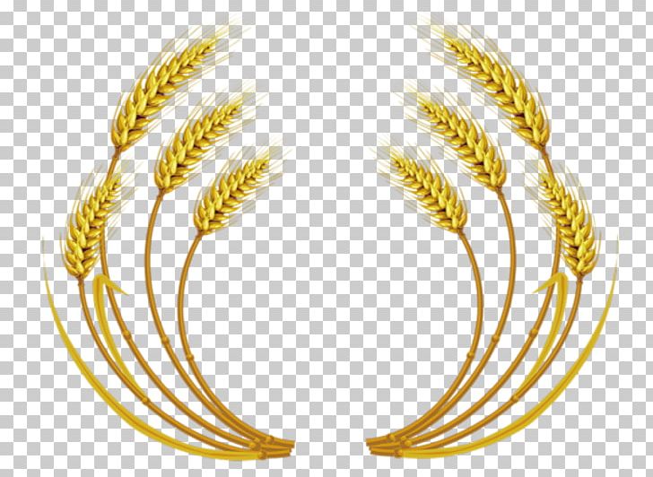 Wheat Ear Cereal PNG, Clipart, Body Jewelry, Commodity, Drawing, Fashion Accessory, Food Grain Free PNG Download