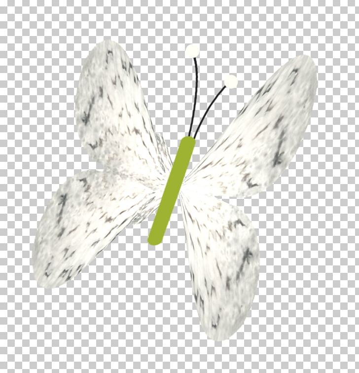 Butterfly Bombycidae Insect PNG, Clipart, Arthropod, Background White, Black White, Bmp File Format, Bombycidae Free PNG Download
