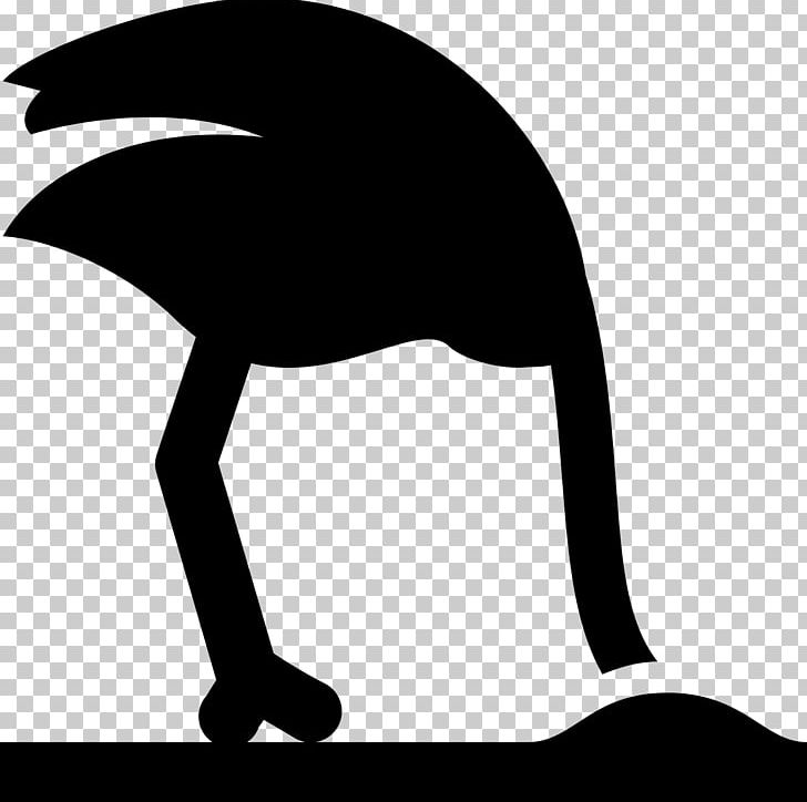 Computer Icons PNG, Clipart, Artwork, Beak, Black, Black And White, Common Ostrich Free PNG Download