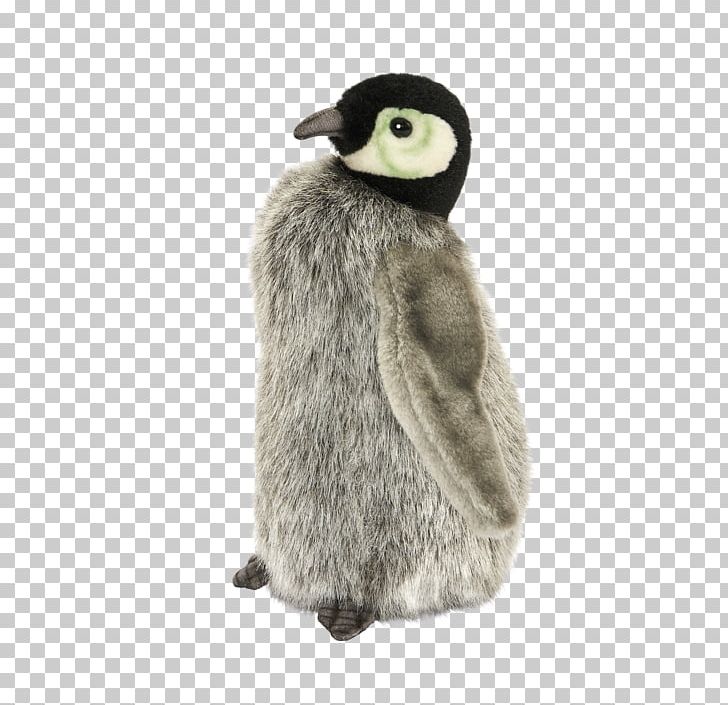 King Penguin Flightless Bird Fur PNG, Clipart, Animal, Animals, Beak, Bird, Cartoon Free PNG Download
