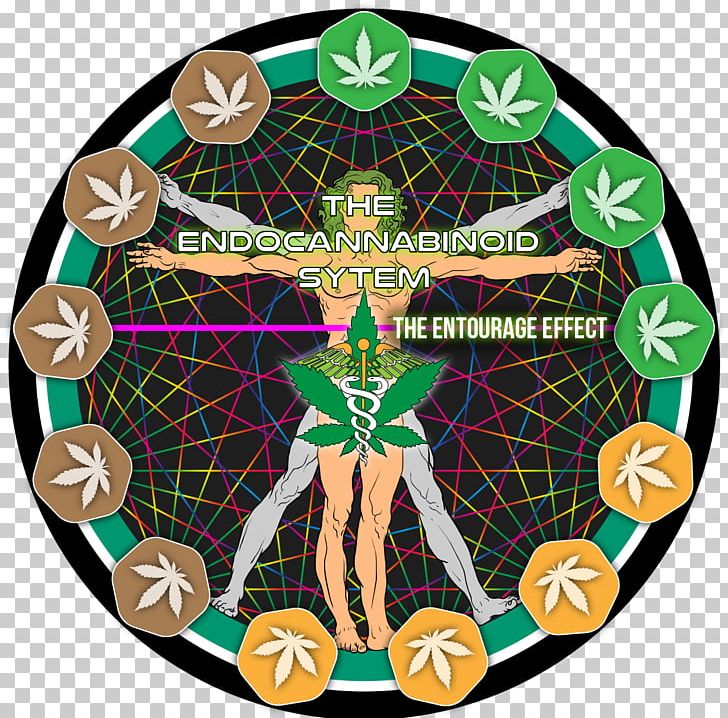 Tetrahydrocannabinol Entourage Effect Cannabinoid Cannabidiol Cannabis PNG, Clipart, Anandamide, Cannabichromene, Cannabidiol, Cannabigerol, Cannabinoid Free PNG Download